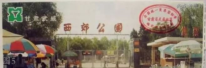 武威老照片：西郊公园，小香槟，大十字，凉州市场，文化宫