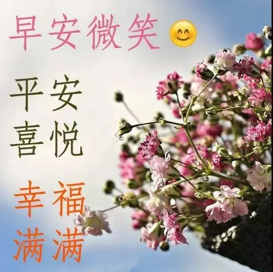 大家早上好最拳表情图  早上好问候语表情图片大全图片