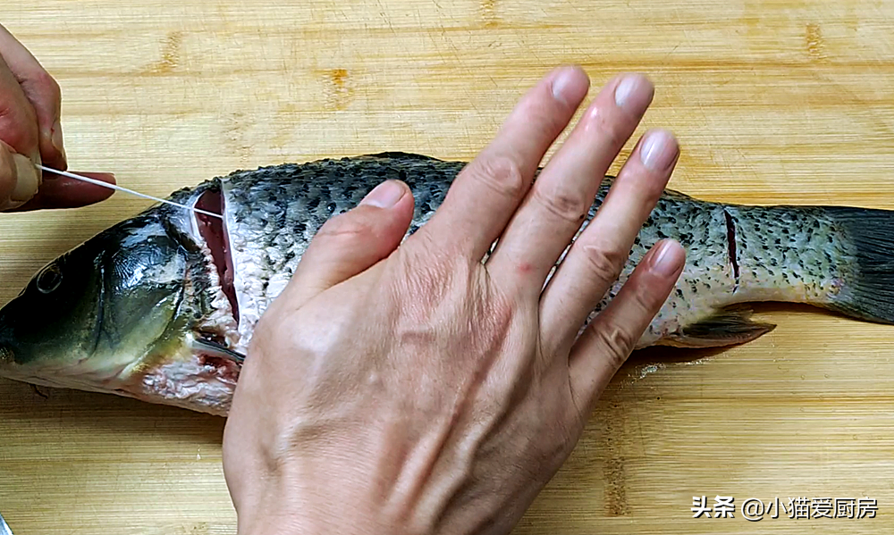 圖片[5]-小貓分享家庭版紅燒鯉魚 香味濃郁醇厚 學會了中秋節做給家人吃-起舞食譜網