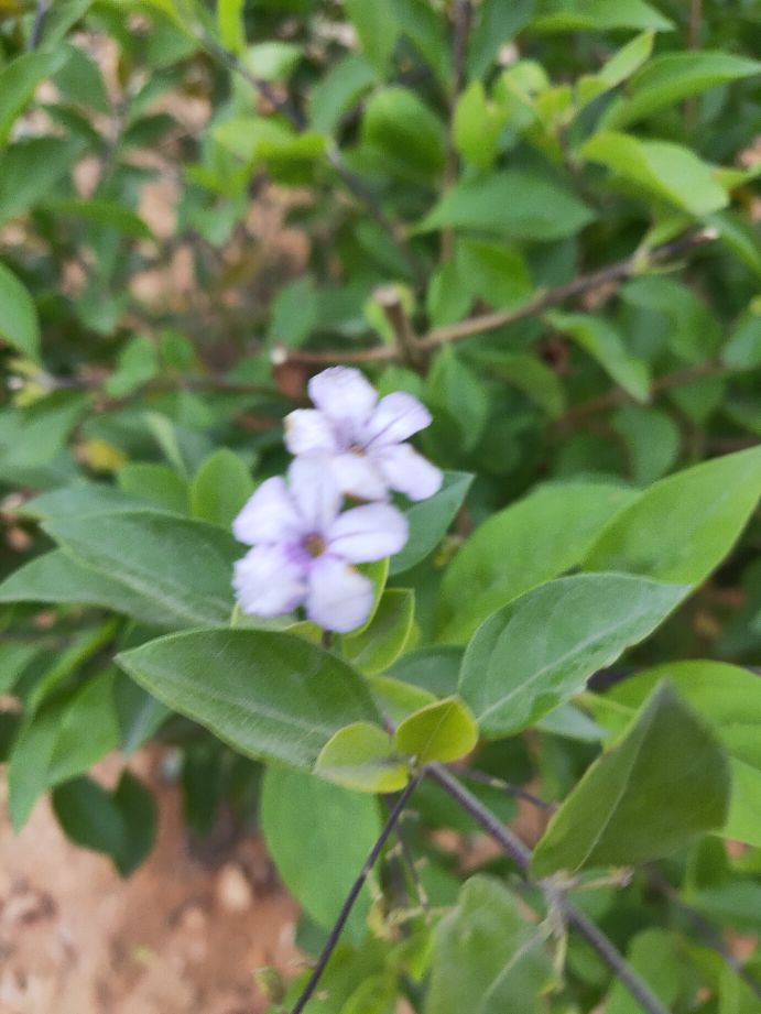 现在做自媒体到底晚不晚