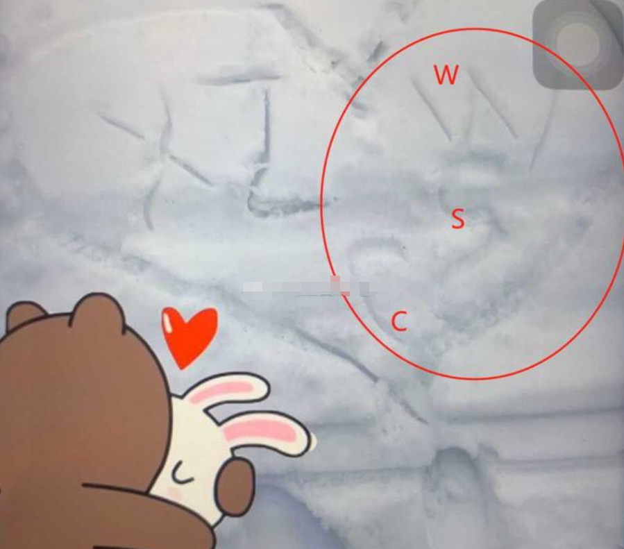 王思聪在泰国被拍到和一女孩街头逛夜市，看清