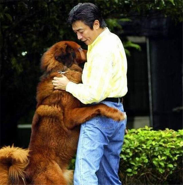 10年前丈夫意外坠楼去世，膝下无儿无女，如今刘雪华过得怎么样？