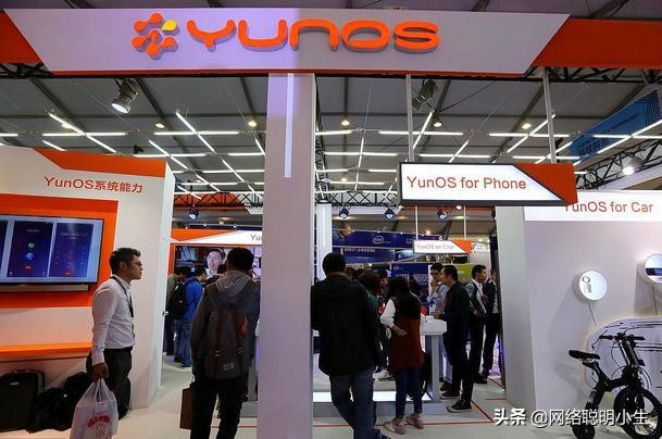 美国有安卓和苹果，国内手机厂商众多，为何没