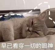 保温杯里泡枸杞，90后变最新险一代