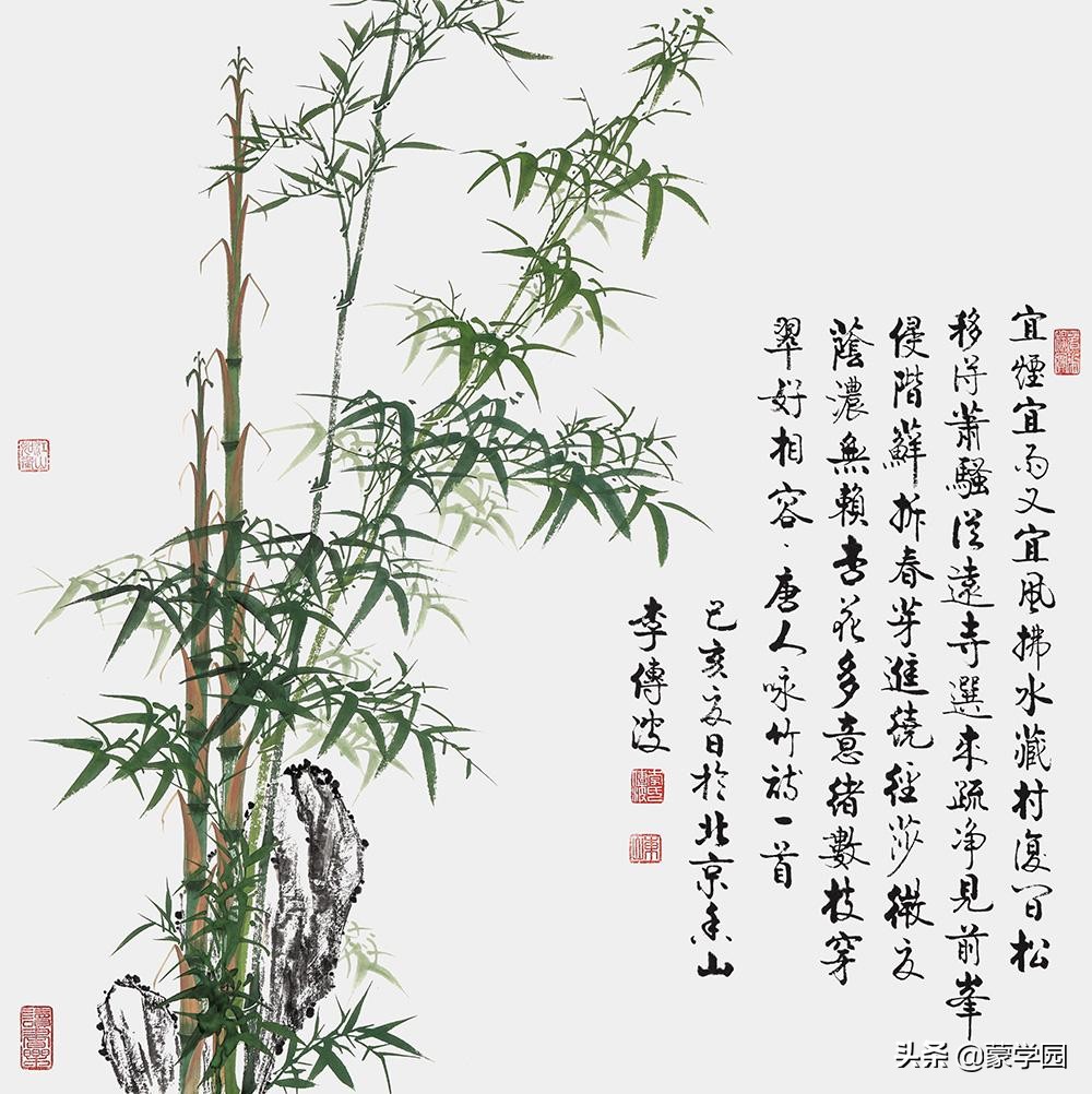 五月知竹，人生知足-第1张图片-非凡网