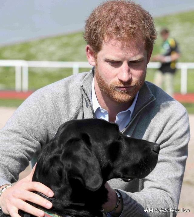 决定离开王室的人，不是梅根，她面对Megxit，很