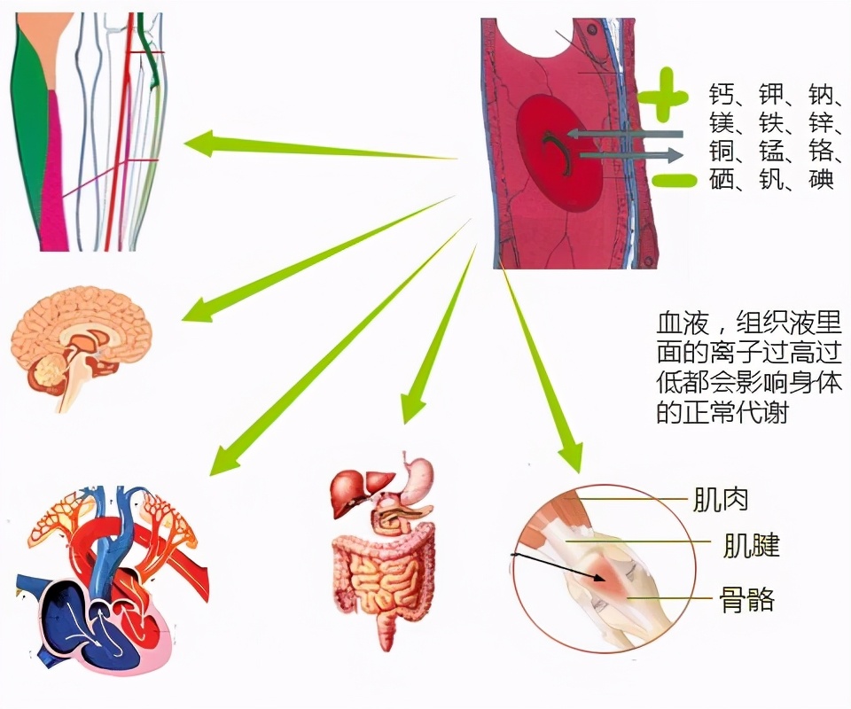 中老年人如何防治骨質疏鬆？ 不能只補鈣，還需做好這4件事