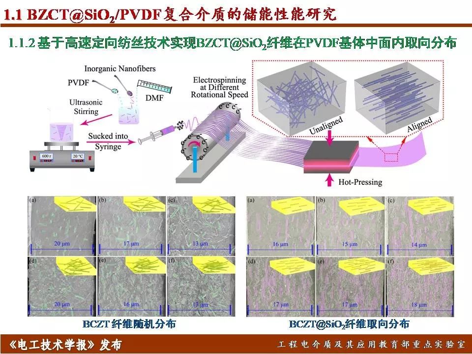 哈爾濱理工大學(xué)遲慶國：儲能型聚合物基絕緣介質(zhì)的效率與密度優(yōu)化