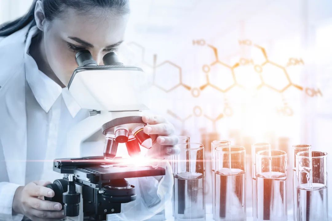 关于收入、房价、物价，央行最新报告一一告诉