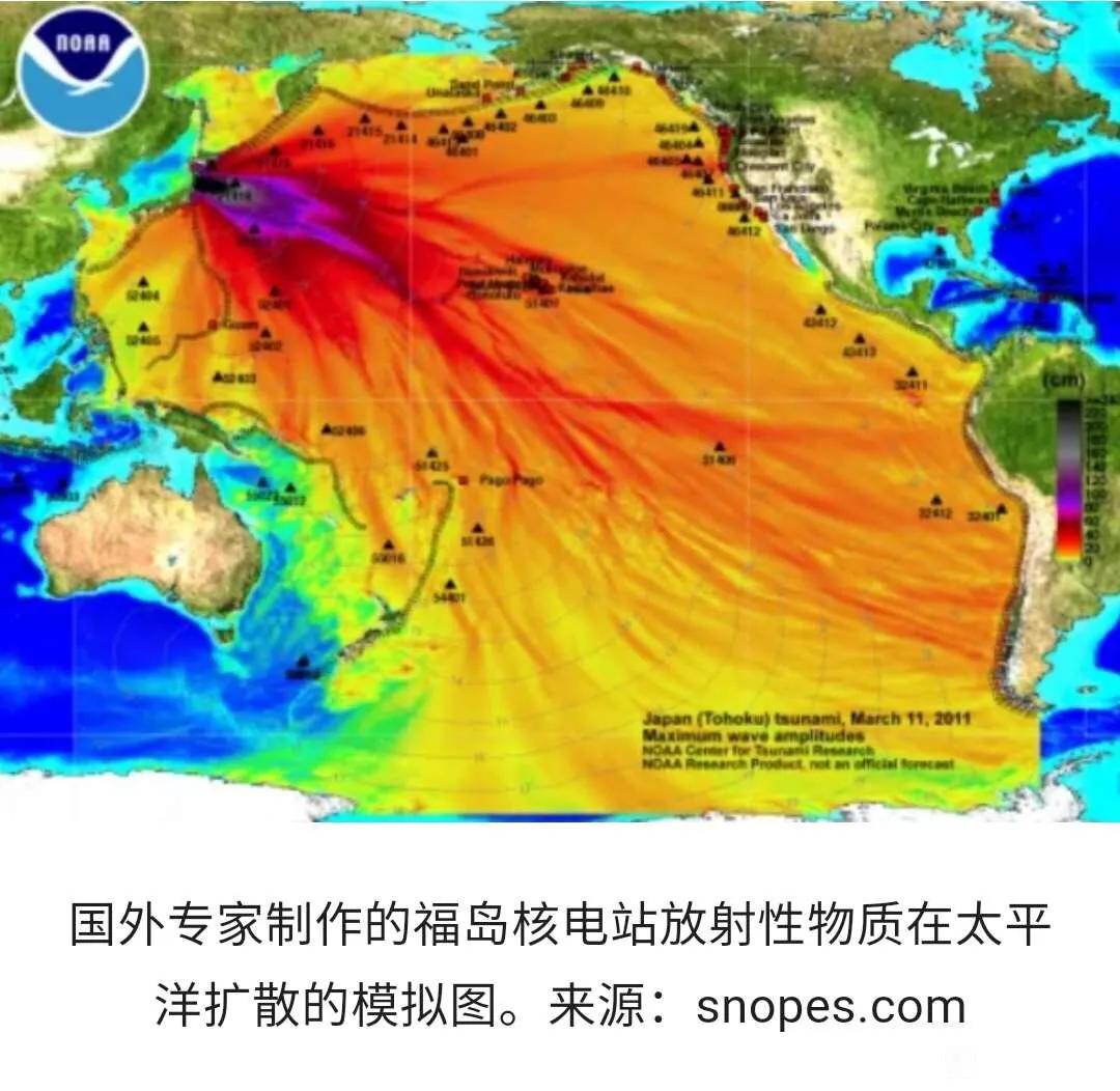 日本若排放核污水入海，會流向哪裡？ 盟友首當其衝，最終沒有贏家