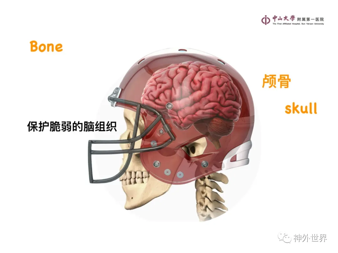 最全影像总结 | 颅内病变 MR、CT 的阅片技巧，太赞了