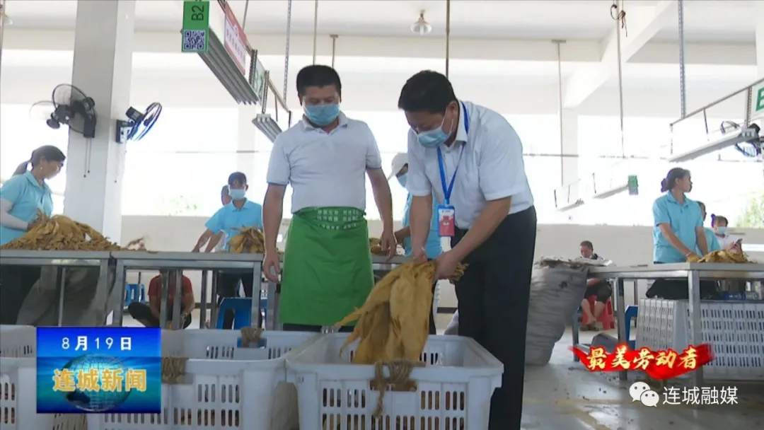 「最美劳动者」黄海锋：积极服务烟农 助农增收致富