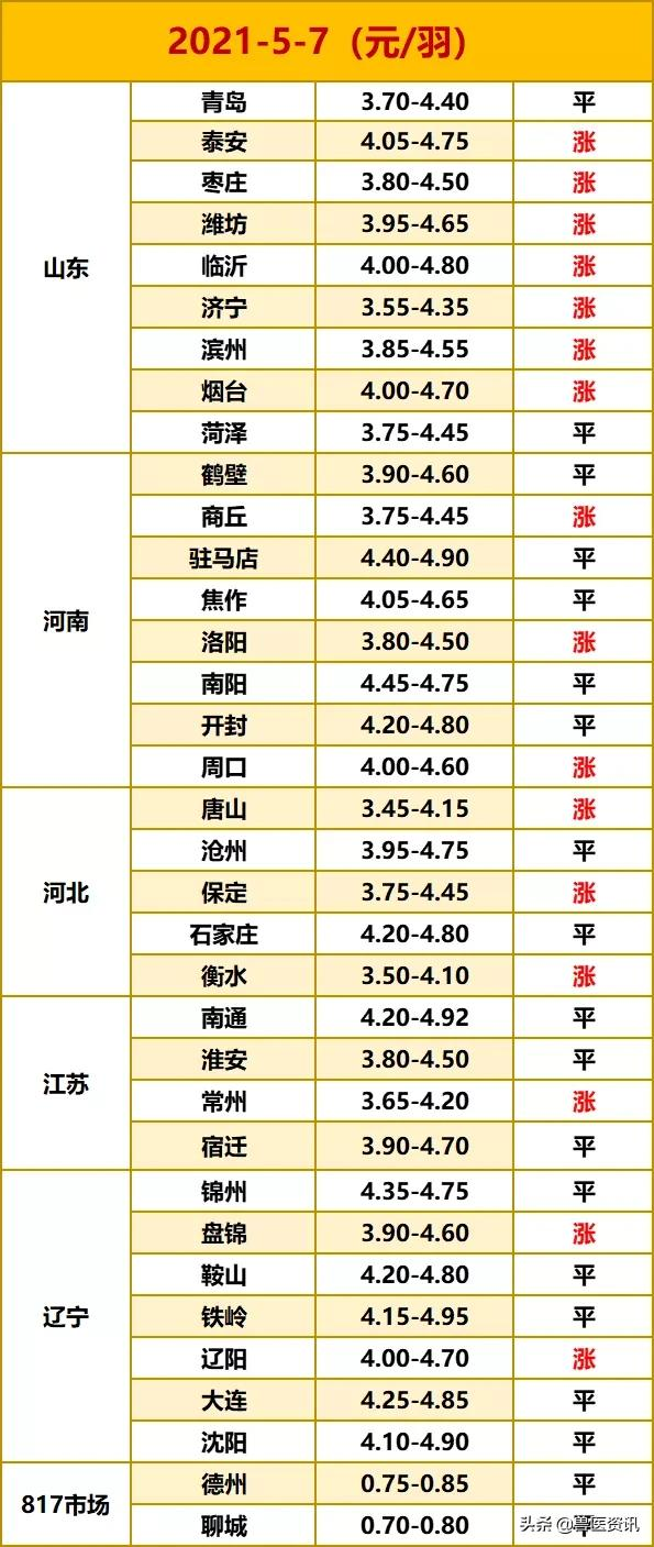 2021.5.7号鸡苗/毛鸡/鸡蛋/817行情报价