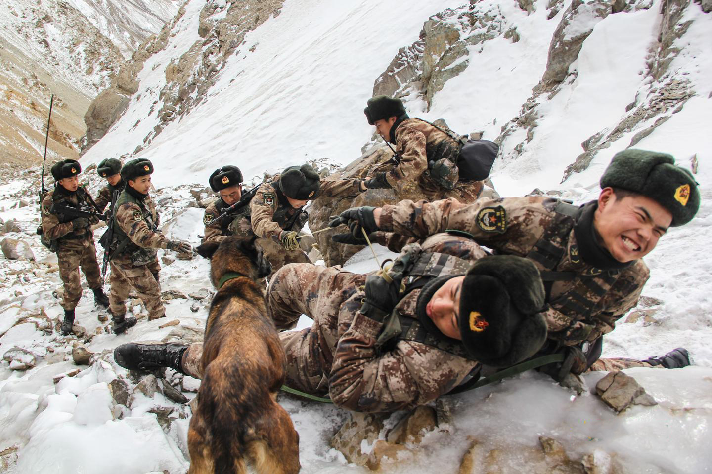 中國(guó)軍犬成反擊印軍越線挑釁的功臣