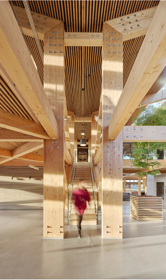 「SHL / Project」 木构的创想：谷仓办公屋Framehouse