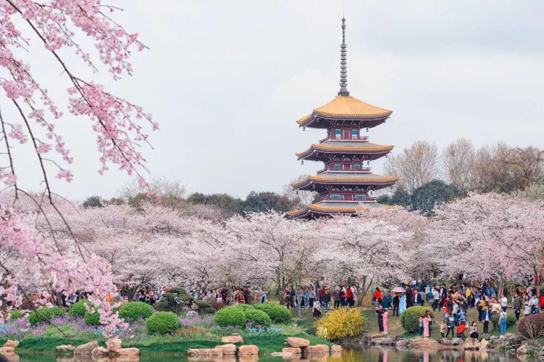 春游武汉推荐游玩景点，沿途可赏花、观湖、参观园林，大多都免费_世界二三- MdEditor