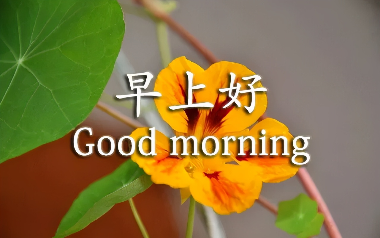 特别暖的早安图片 优雅大气的早安图片图片