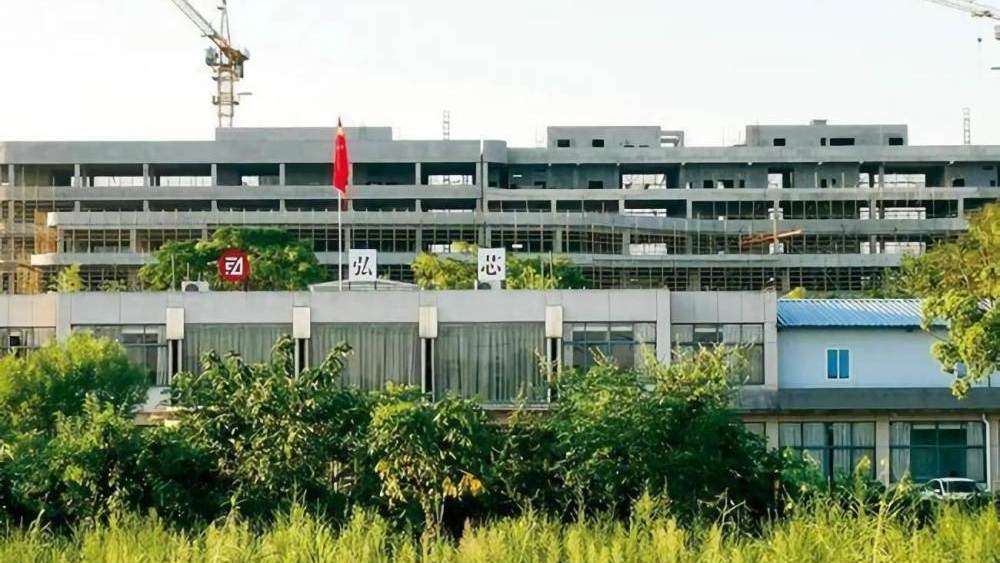 关于中国芯片发展，国家“八字”表决，美国专家一席话警示了众人