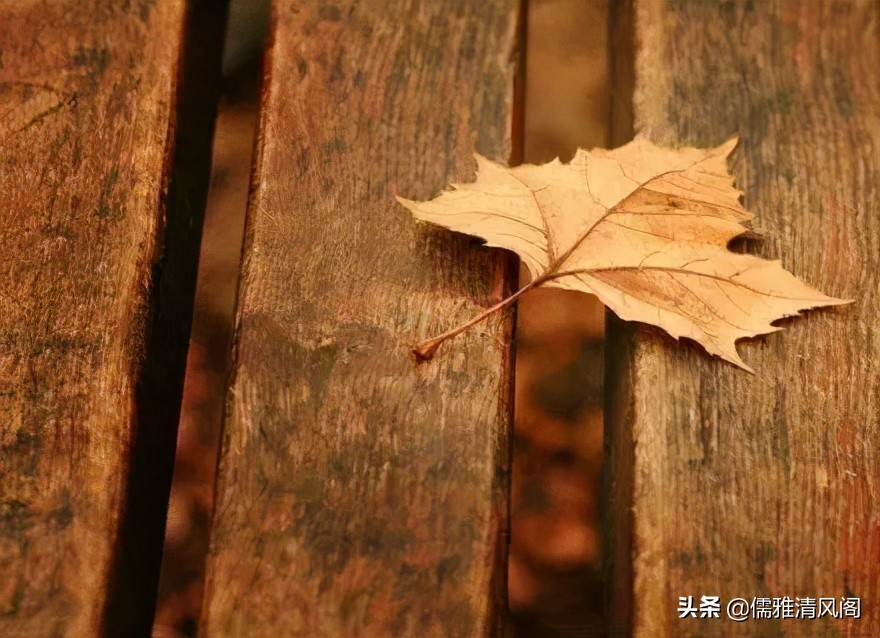 散文诗：我若离去，你是否在意-第2张图片-非凡网