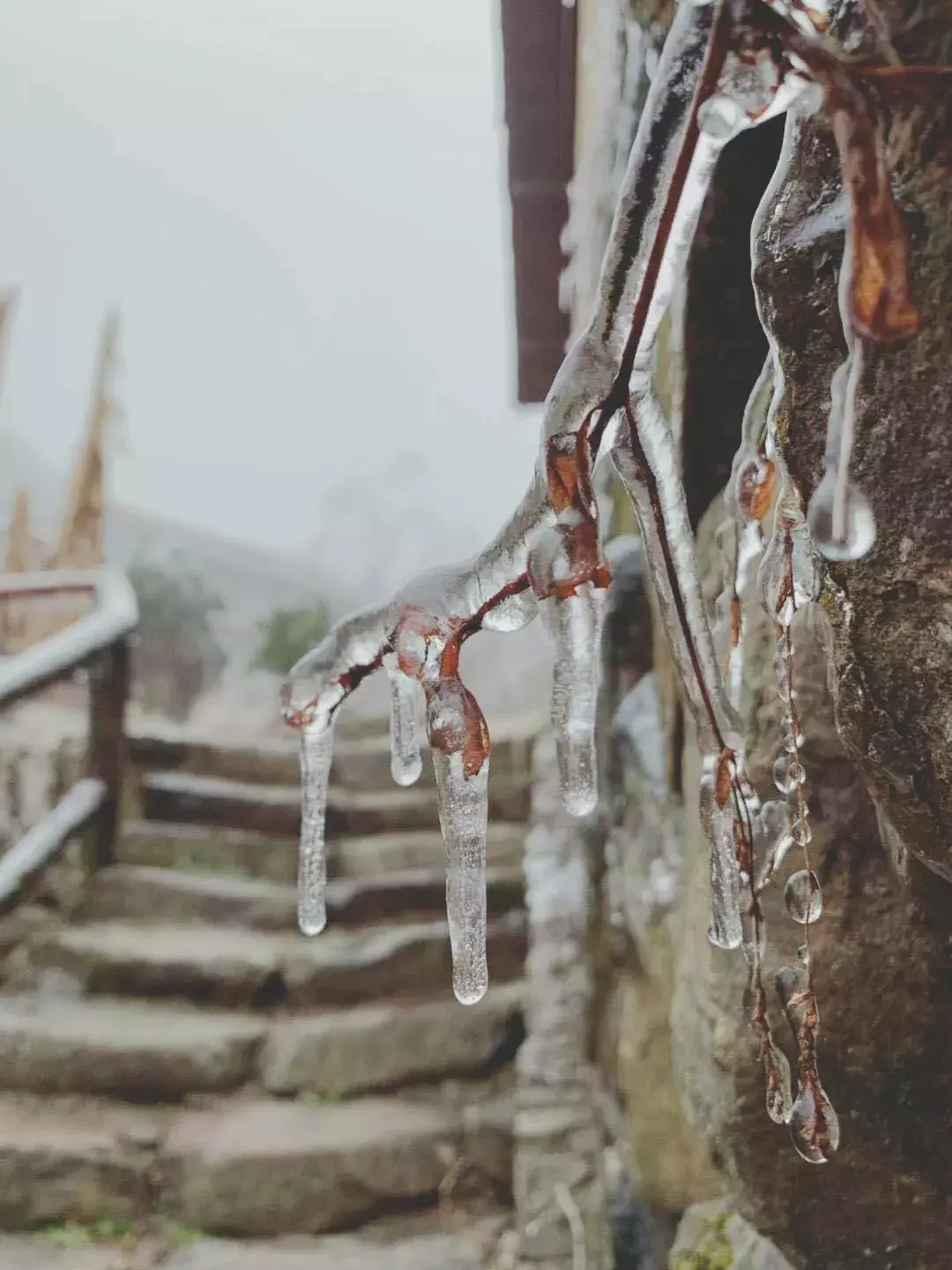 不用去看故宫的雪！钱塘江畔的冰雪霸屏了……美翻了整个江南！