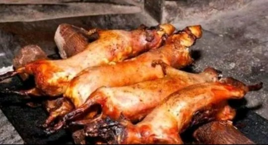 越南人特纳闷：这东西我们巴不得天天吃，为啥