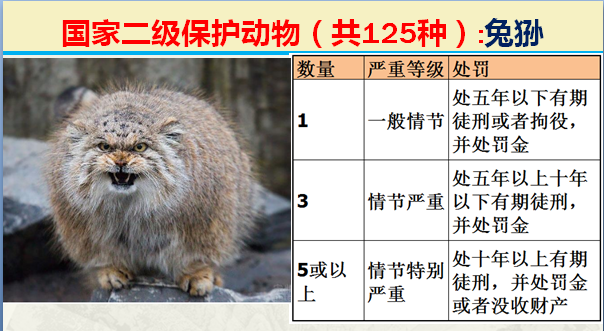 国家最新125类二级野生保护名录，图片及违法对应刑责