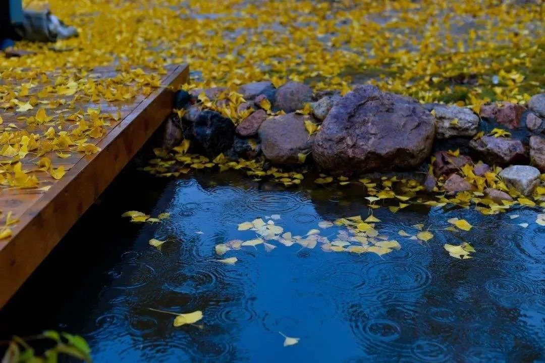 冬天不仅有寒雨，有冰雪，还有诗​-第6张图片-非凡网