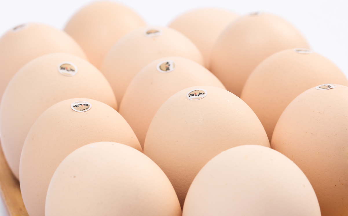 布局高端鸡蛋市场 亲子之选鸡蛋产品全新上市