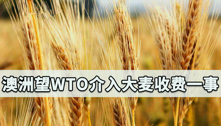 對華貿易受挫，澳抱怨沒一個盟友伸援手，美國不僅不幫忙還搶生意