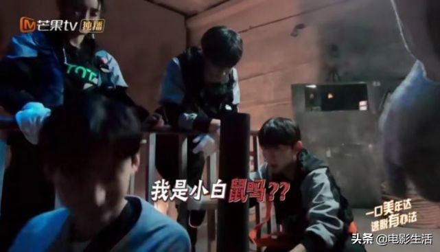 《密逃》大张伟接梗无敌，邓伦吓得魂不附体，白敬亭无存在感？