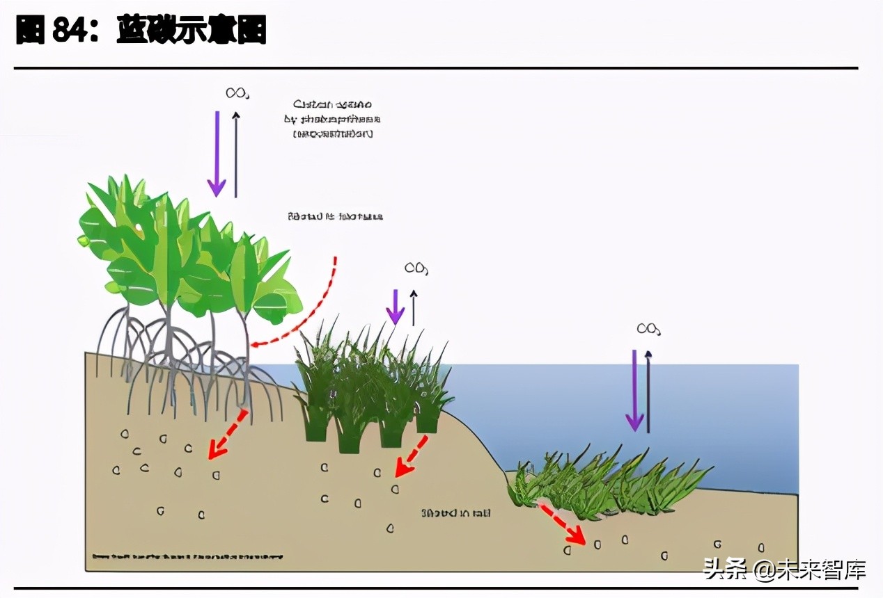 日本降碳之路主题研究报告：资源约束型国家如何选择碳中和？