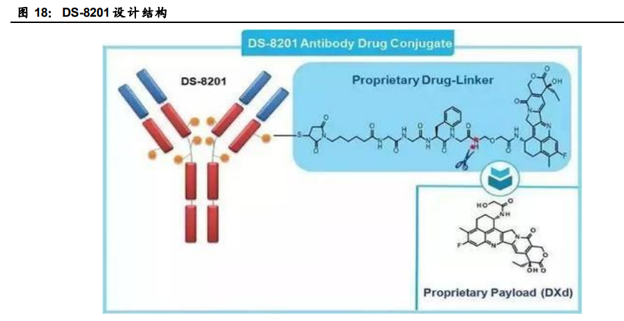 创新药行业专题报告：ADC药物迎来黄金时代