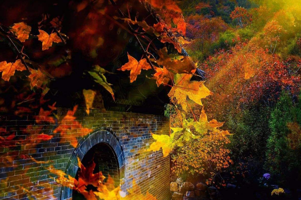 十首最美的秋日诗词，一起感知秋日美好-第7张图片-诗句网
