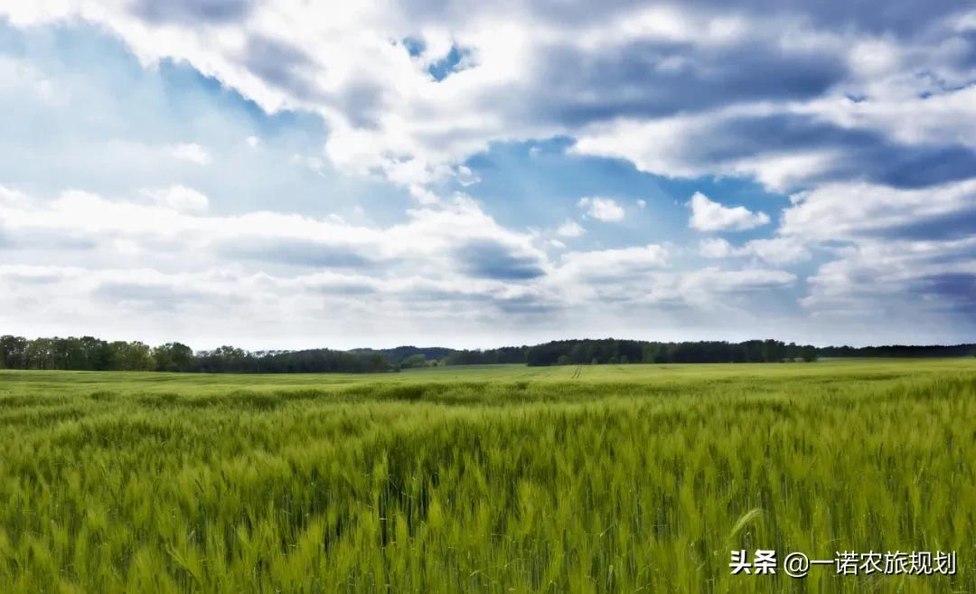 田园综合体开发指导大全