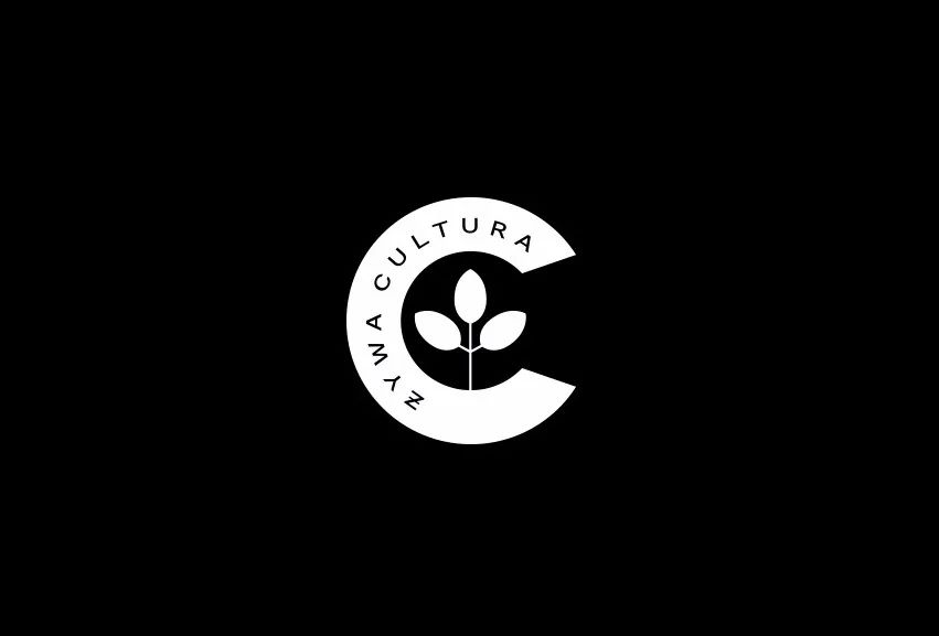简约国际范的企业logo设计，有创意有识别性