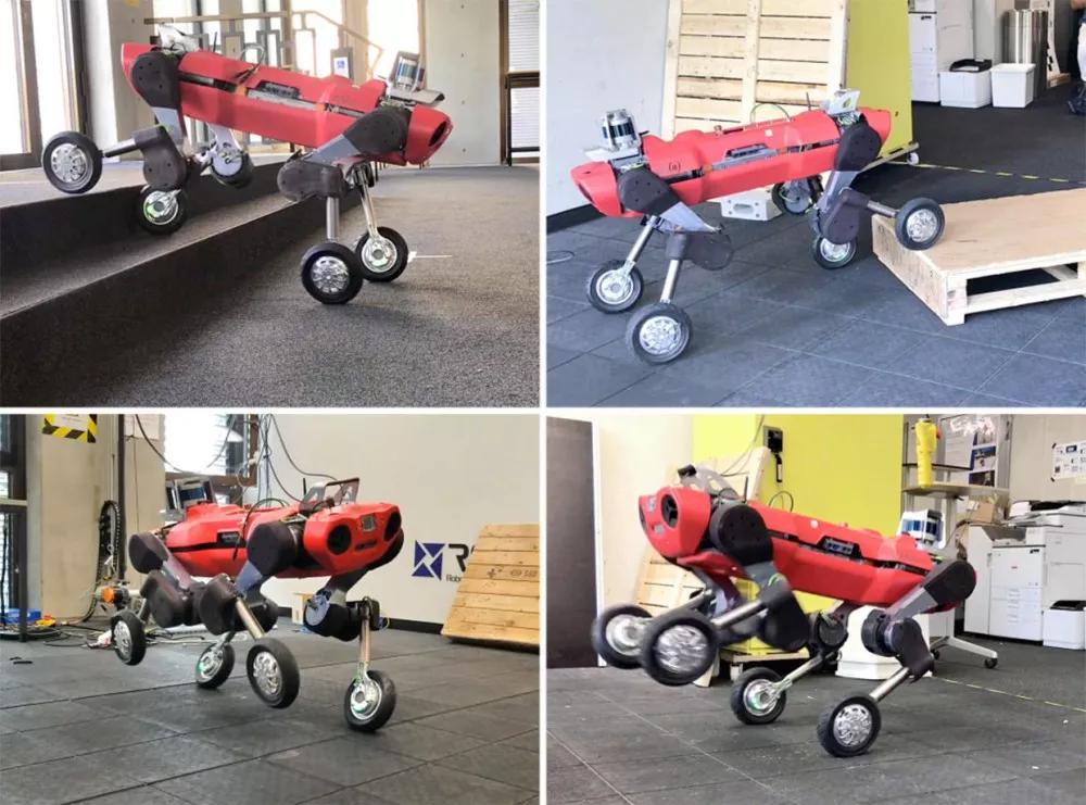比波士顿机器狗多了几个轮子，瑞士公司研发轮足复合式移动机器人