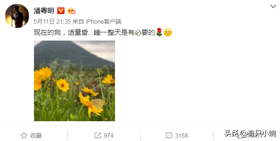 《云南谷虫》刚杀青，《昆仑神宫》已提上日程