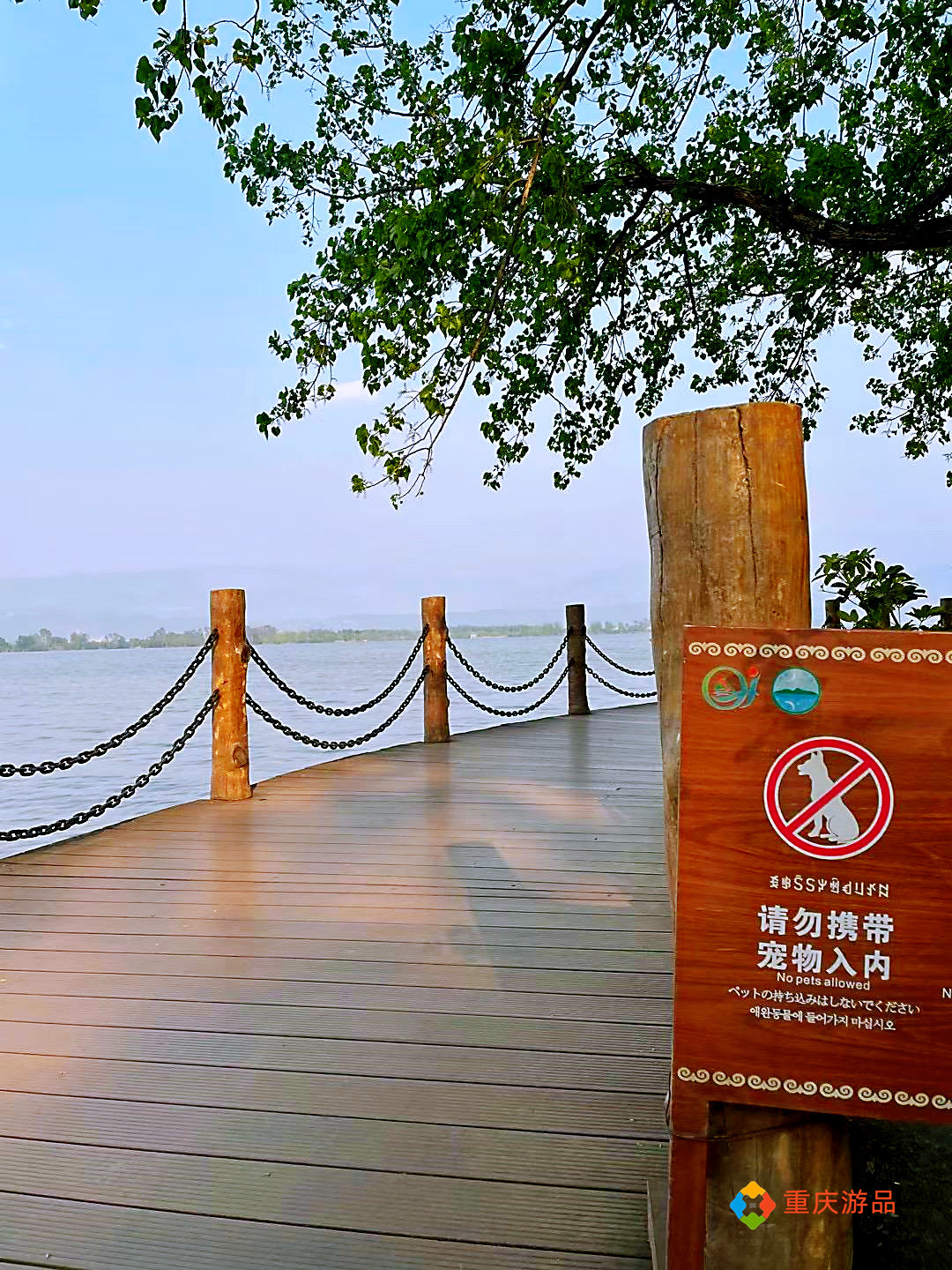 重庆小两口环游中国：西昌美食之旅，包浆豆腐一定要来两份