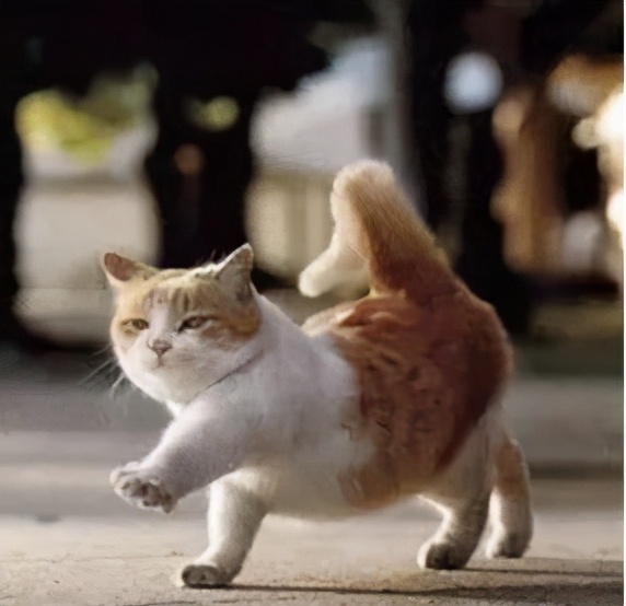 养老保险制度改革对公务员的影响