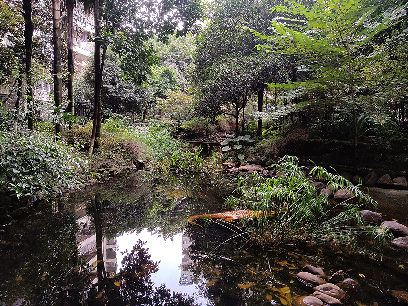 千元级5G手机耐看还有三摄？OPPO A72随拍体验