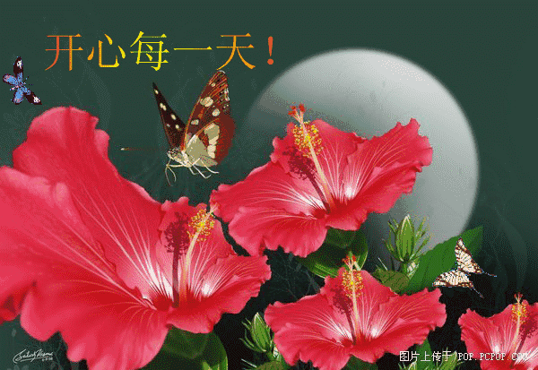 星期三最新版早安短信问候祝福语大全 把最美的祝福送给你图片