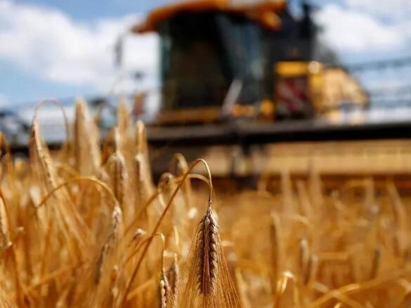 澳大利亞失去中國市場後，美國趁機接盤並口頭聲援：和澳站在一起