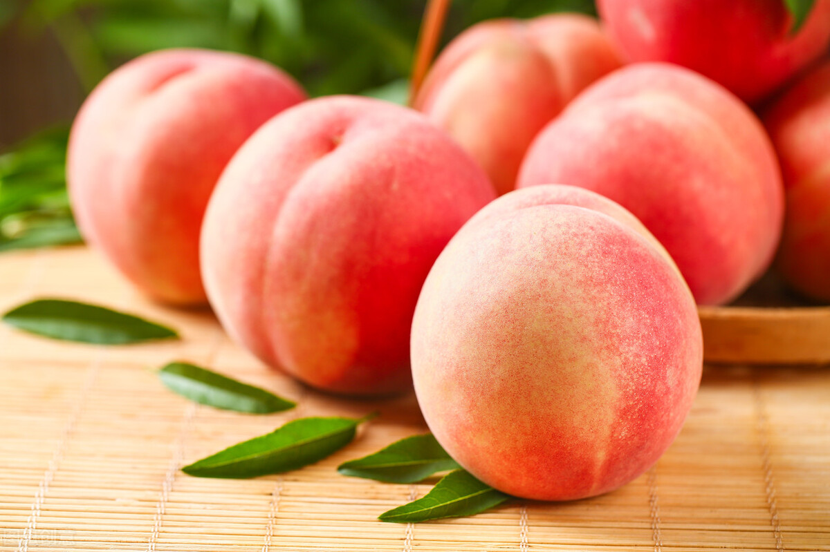 全中国哪里的桃子最好吃桃子哪里产的好吃