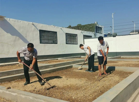 江苏丰县：旧楼换新颜 荒地变菜园 群众齐点赞