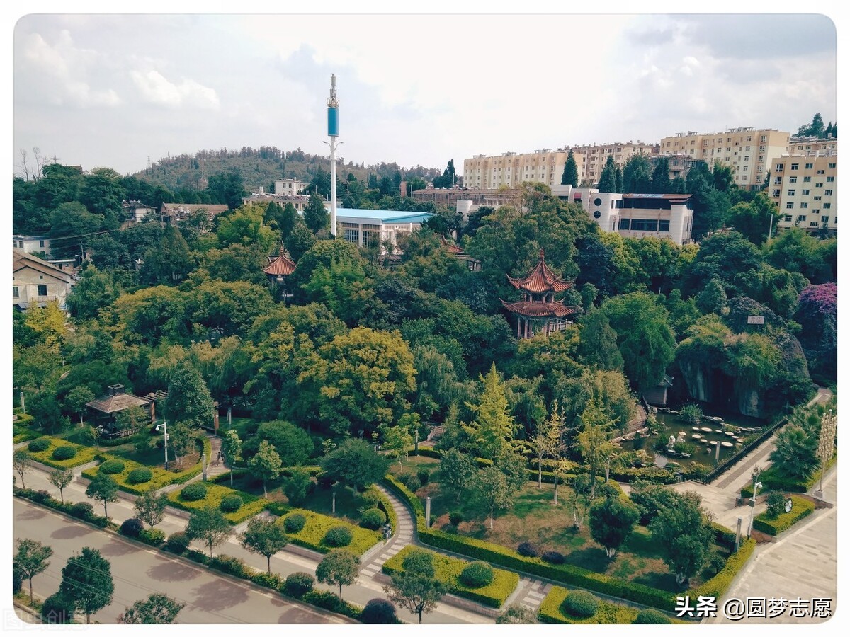 全国各地中医药大学排名出炉：上海拿下第2，山西惨败垫尾