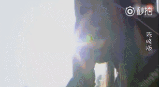 饶了观众吧，同是杨过摘面具，除了古天乐其他