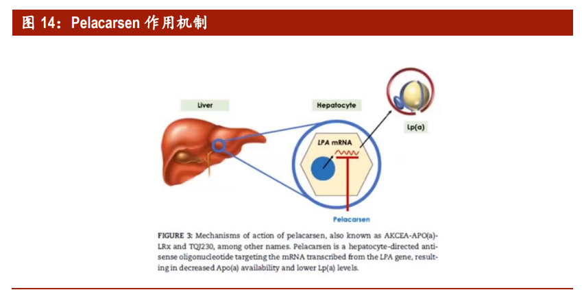 ����������ҵ��ȱ��棺ǧ���г����п�Ϊ