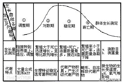 农乐生物 生物菌剂价格贵?教你通过扩繁降低成本
