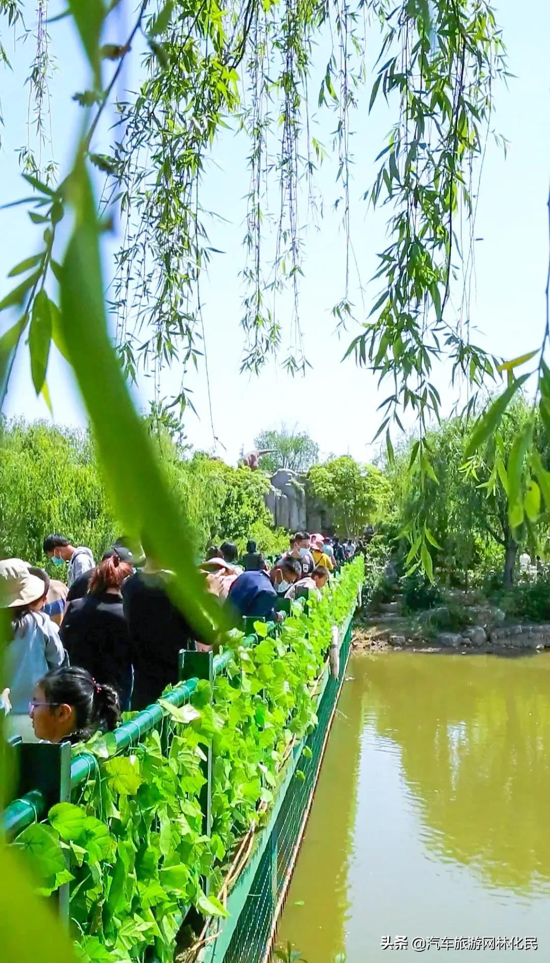 “五一”乐翻天，龙园景区游人如织，秩序井然