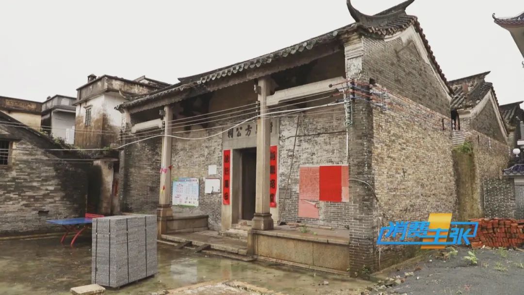 品肇庆裹蒸粽、雷州鸭乸粽、开平驸马粽，探寻